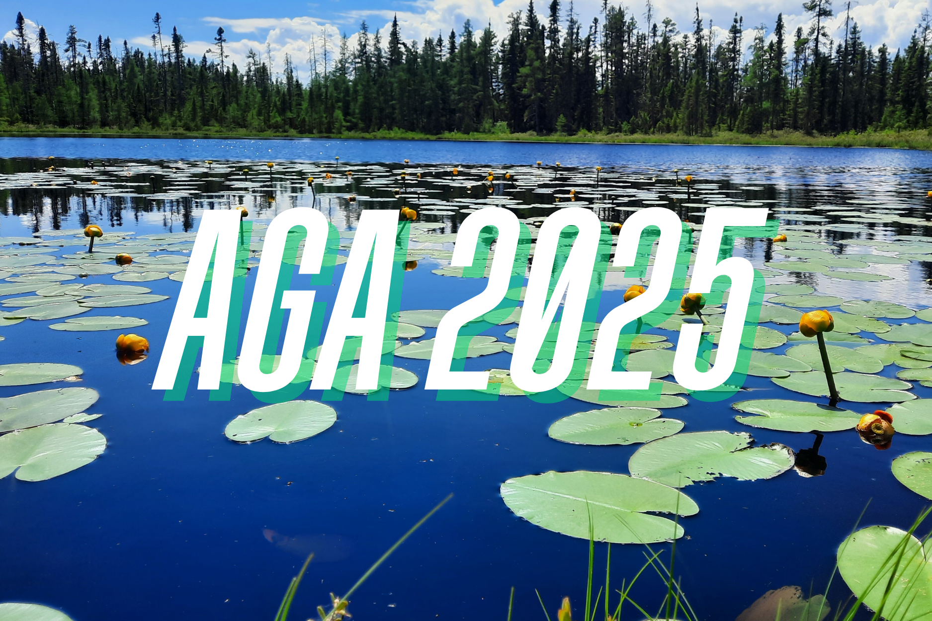 Assemblée générale annuelle 2025